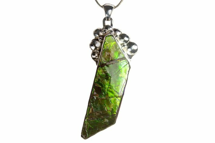 Brilliant Ammolite Pendant (Necklace) - Alberta, Canada #315400